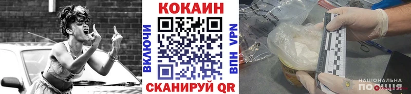 Кокаин Fish Scale  Купить закладки  Гатчина 