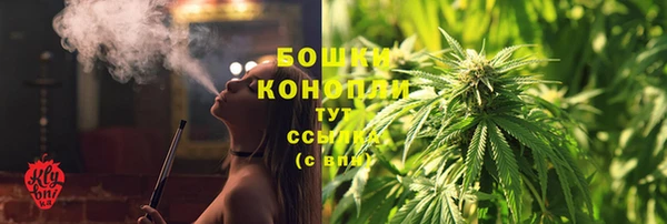 дмт Карпинск