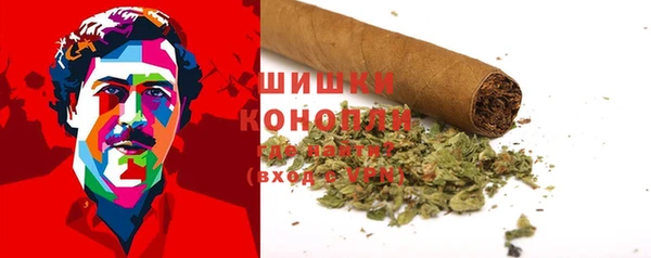 дмт Карпинск