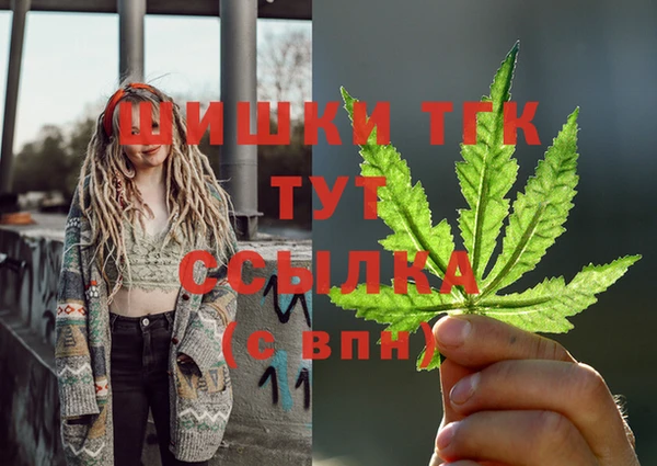 гидропоника Карталы
