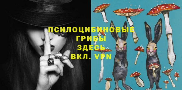 дмт Карпинск