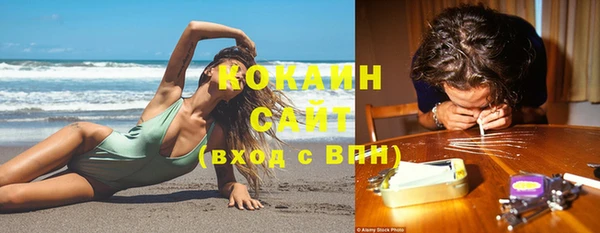 дмт Карпинск