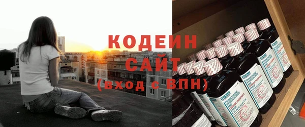 дмт Карпинск